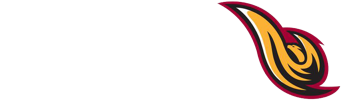 udcfirebirds logo